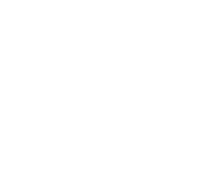 made in USA logo